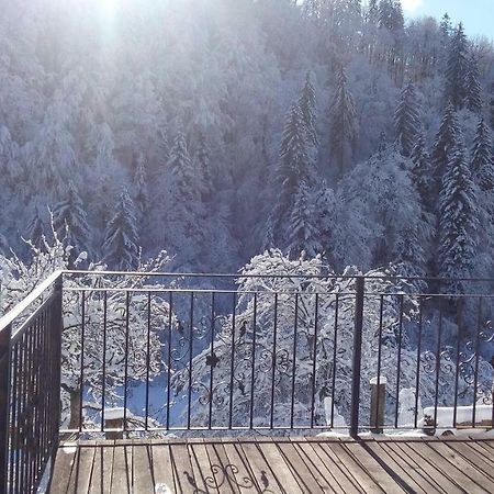 Turisticna Kmetija Weiss Villa Miklavz pri Taboru Bagian luar foto