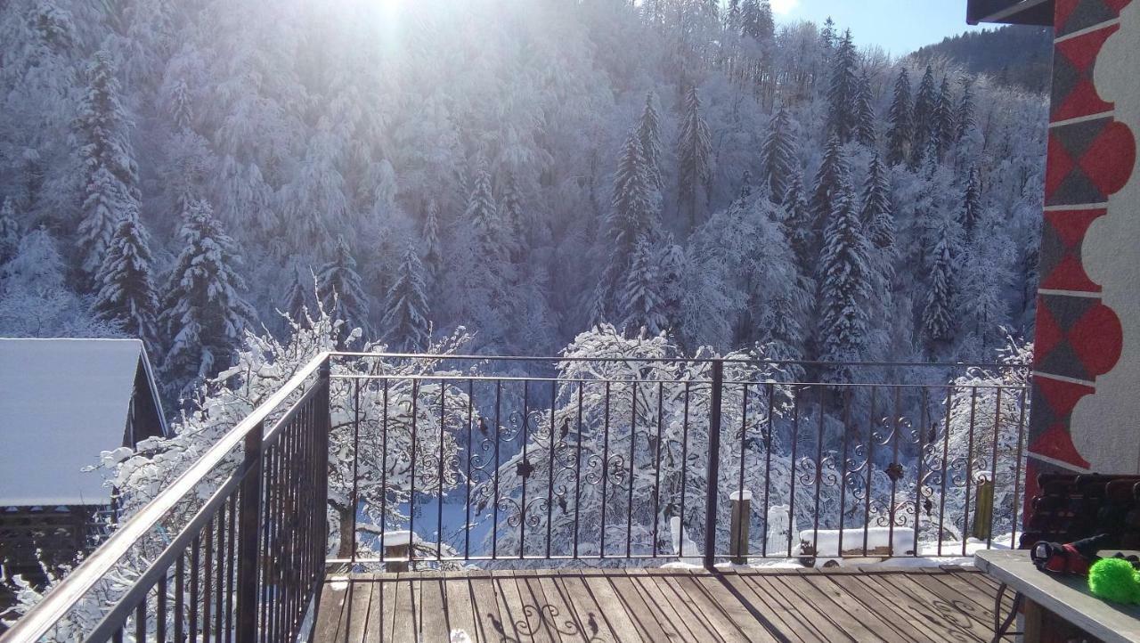 Turisticna Kmetija Weiss Villa Miklavz pri Taboru Bagian luar foto