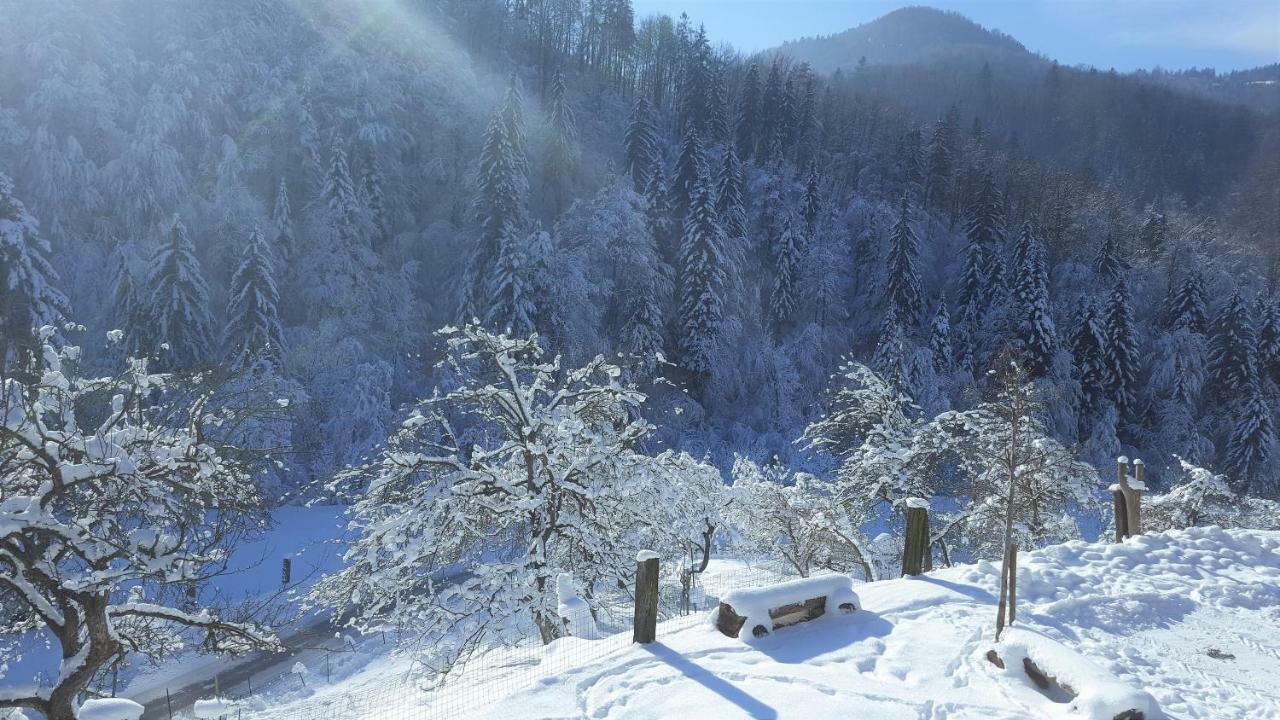 Turisticna Kmetija Weiss Villa Miklavz pri Taboru Bagian luar foto