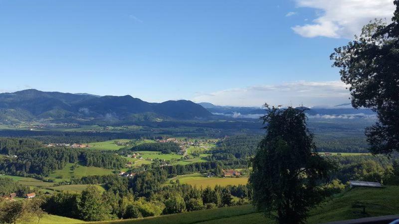 Turisticna Kmetija Weiss Villa Miklavz pri Taboru Bagian luar foto