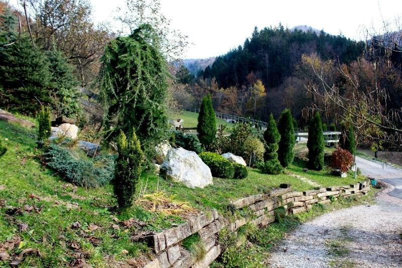 Turisticna Kmetija Weiss Villa Miklavz pri Taboru Bagian luar foto