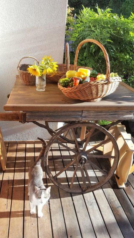 Turisticna Kmetija Weiss Villa Miklavz pri Taboru Bagian luar foto
